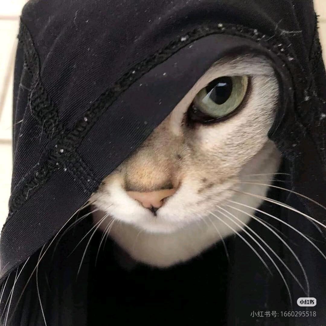 勇敢阿威（三角洲行动）