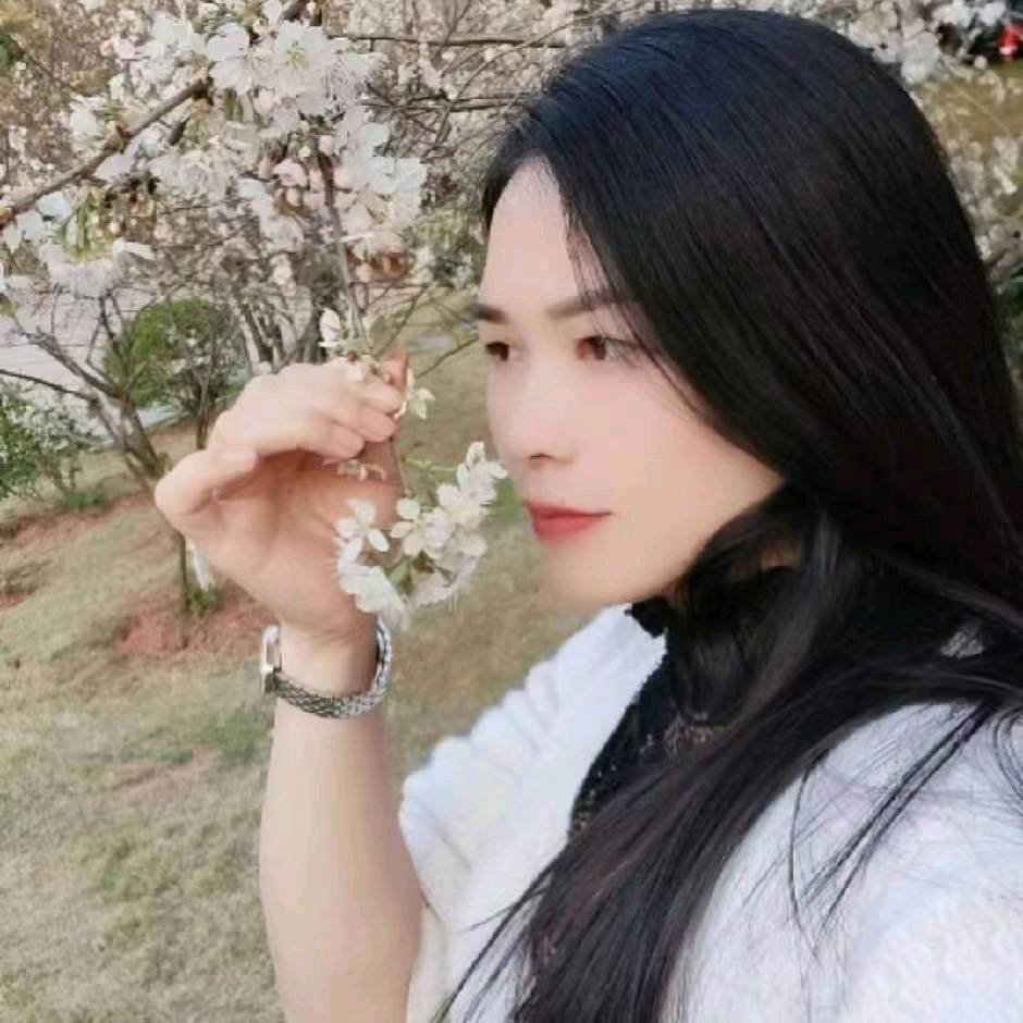 美美小号