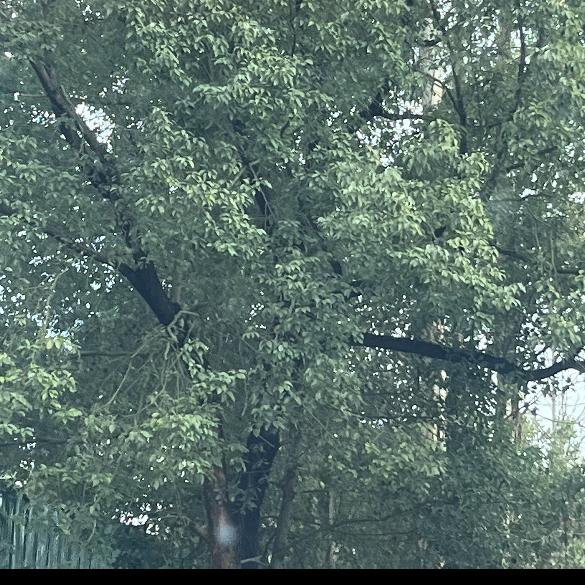 涛哥