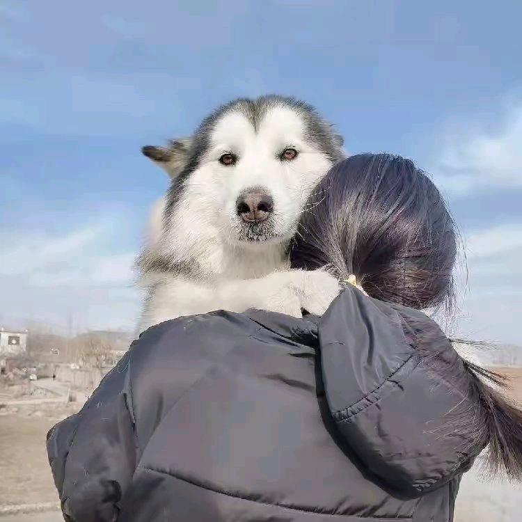 是李桃桃ya