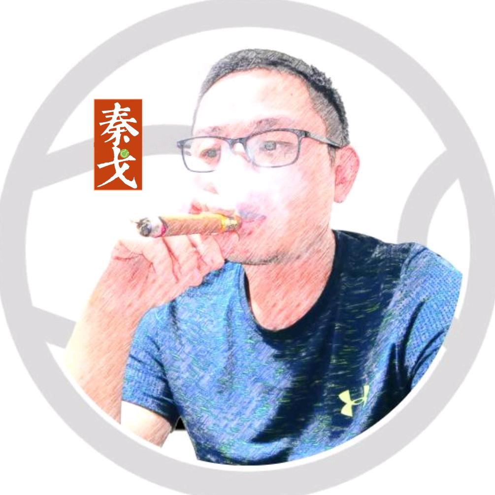 秦戈🎾