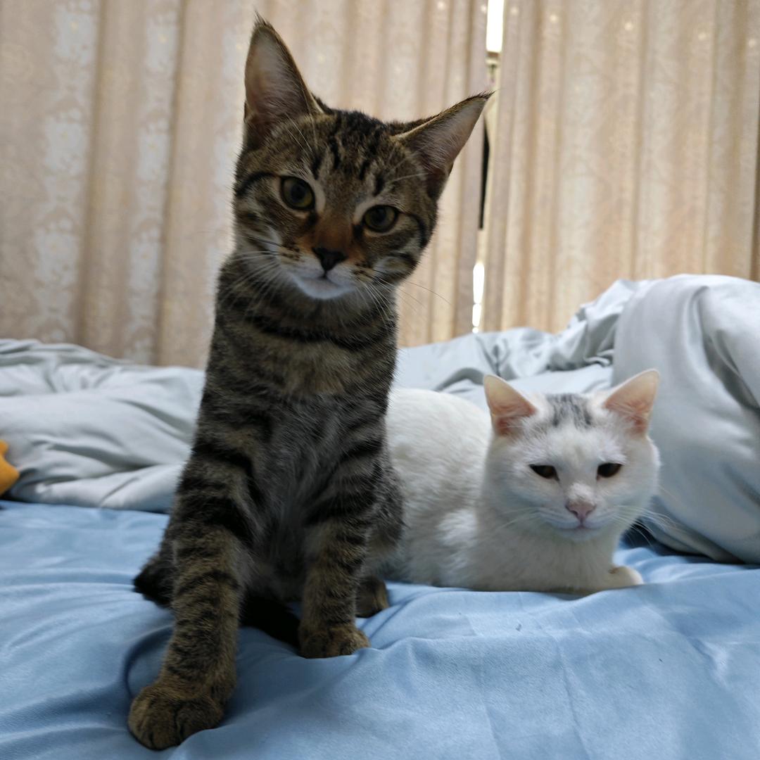 识时务者