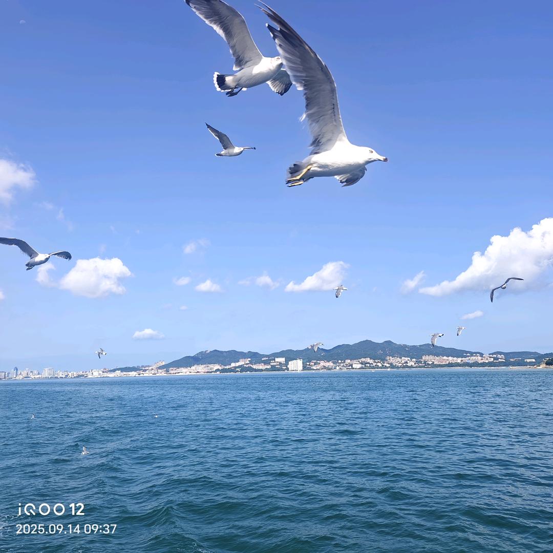 重新开始