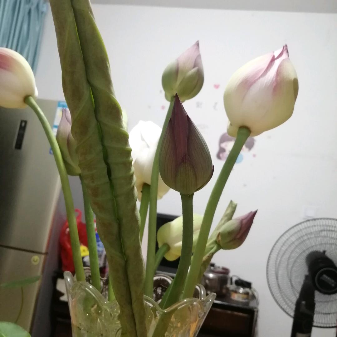 灿灿
