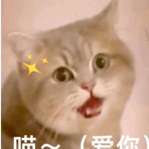 真心不悔