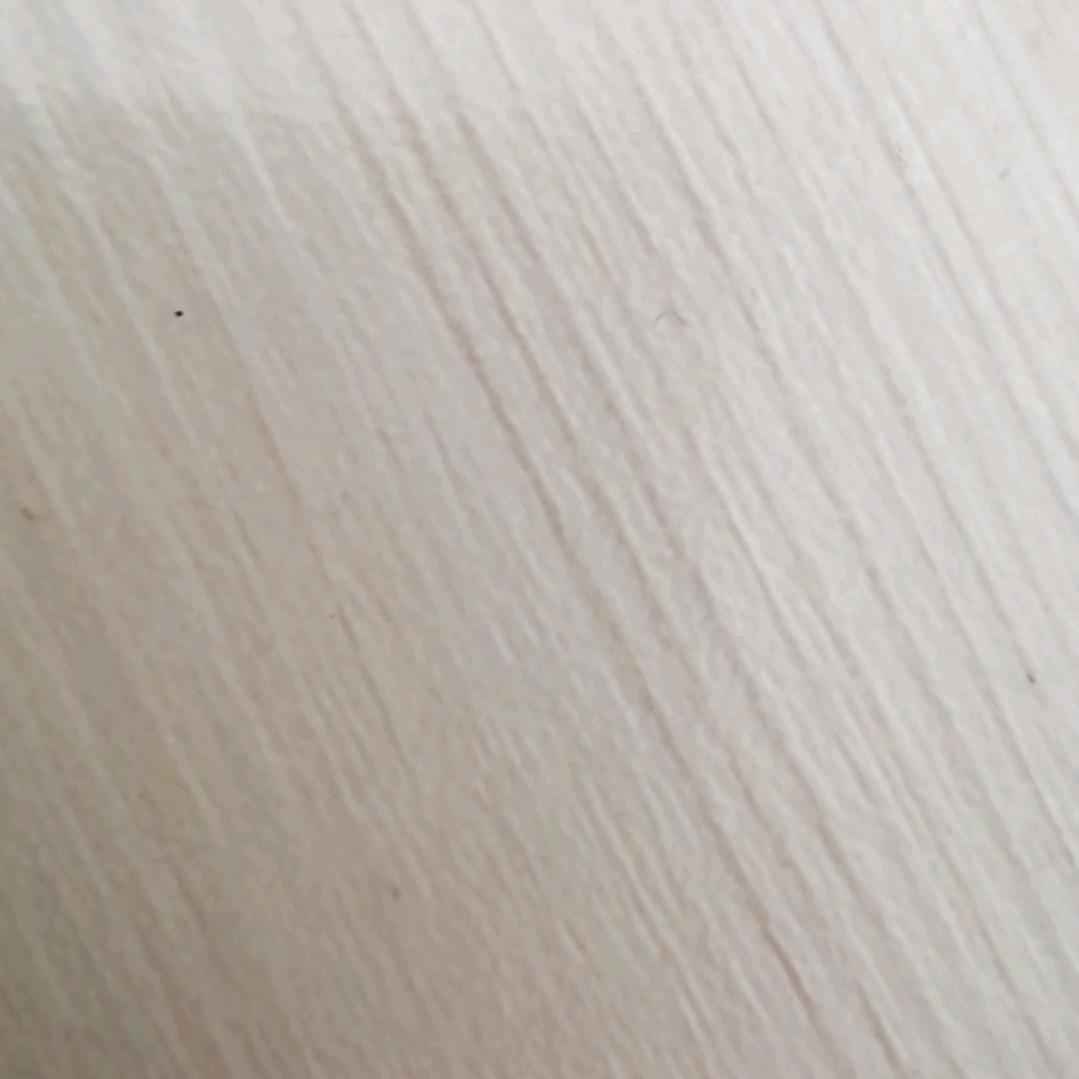 🌈起什么名好？