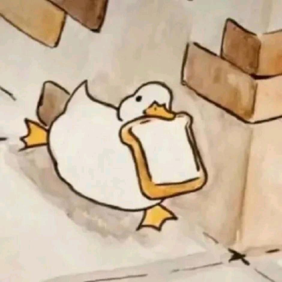 小哲会早起