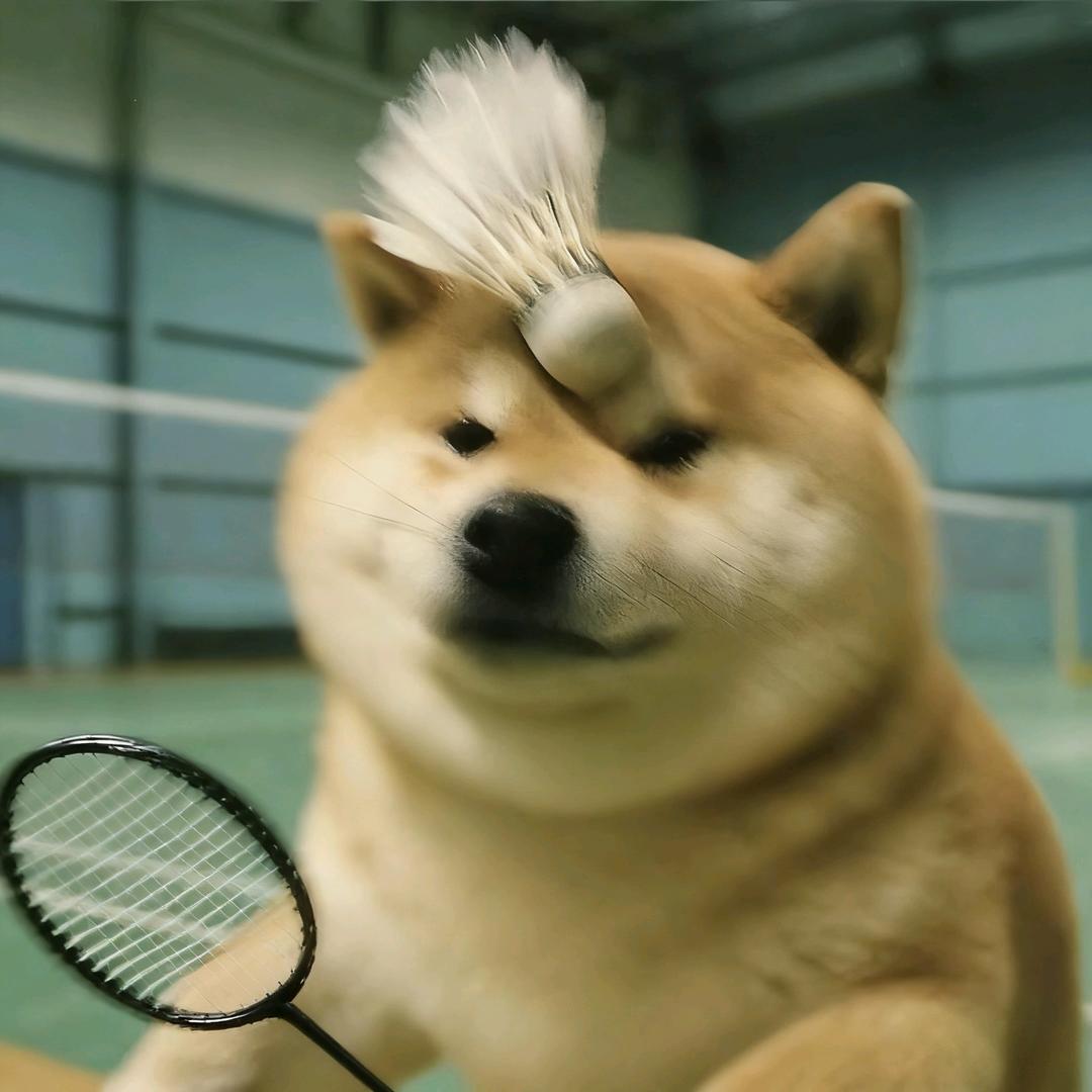 养乐多-