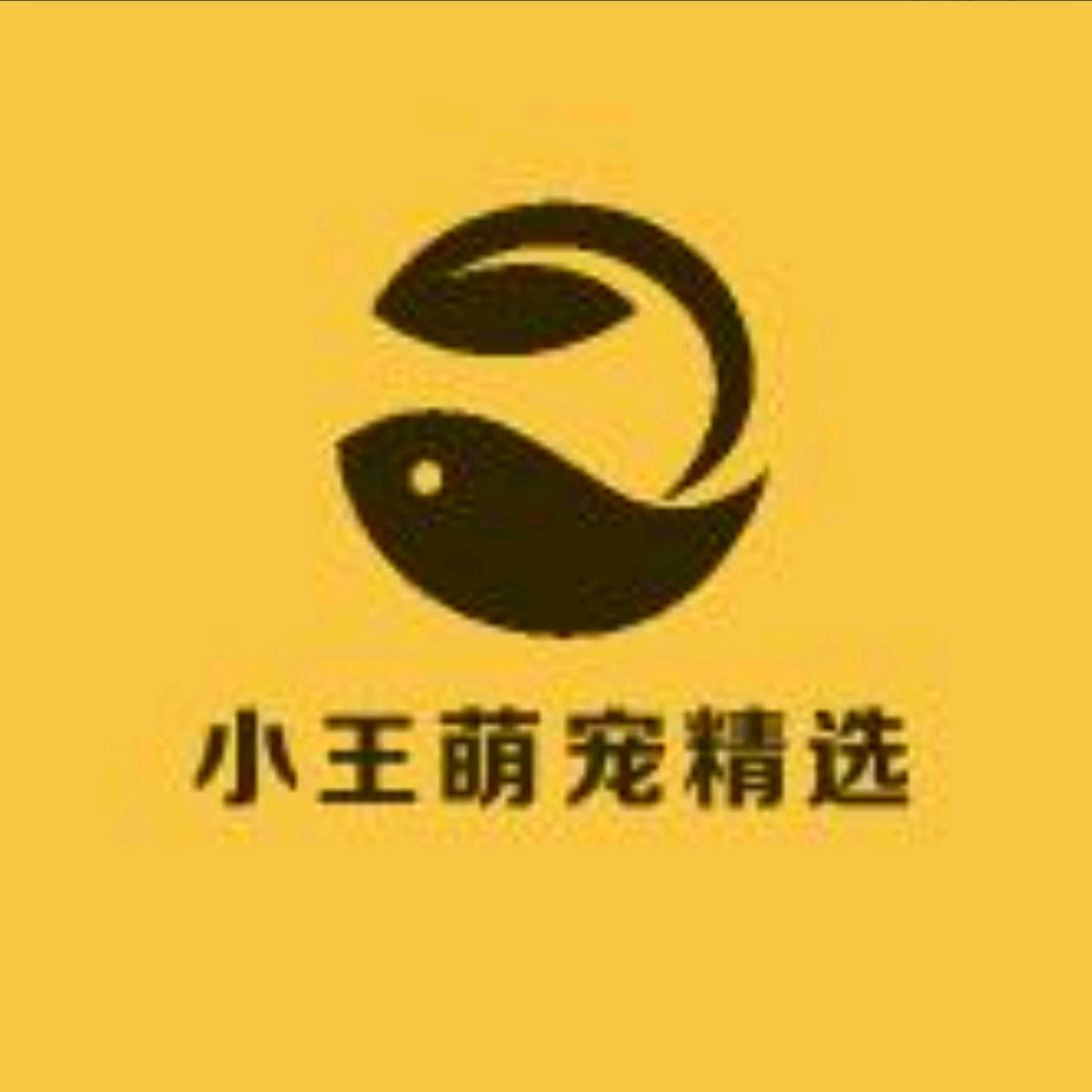 小王（松鼠养殖）高品质