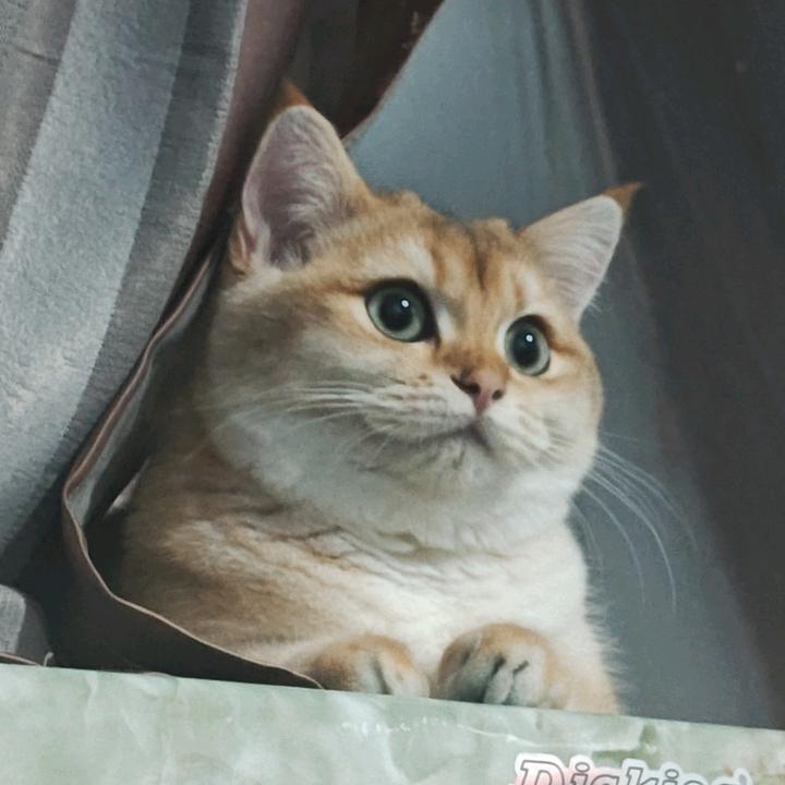 qqq.
