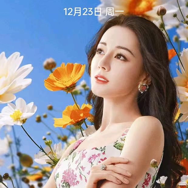 崇阳小庞