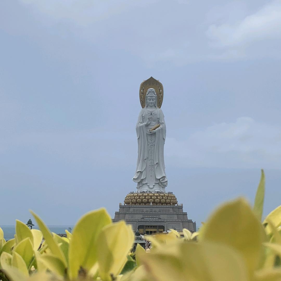 智歆彤