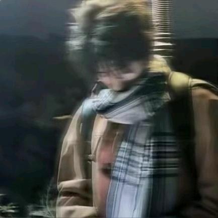 解锦逸