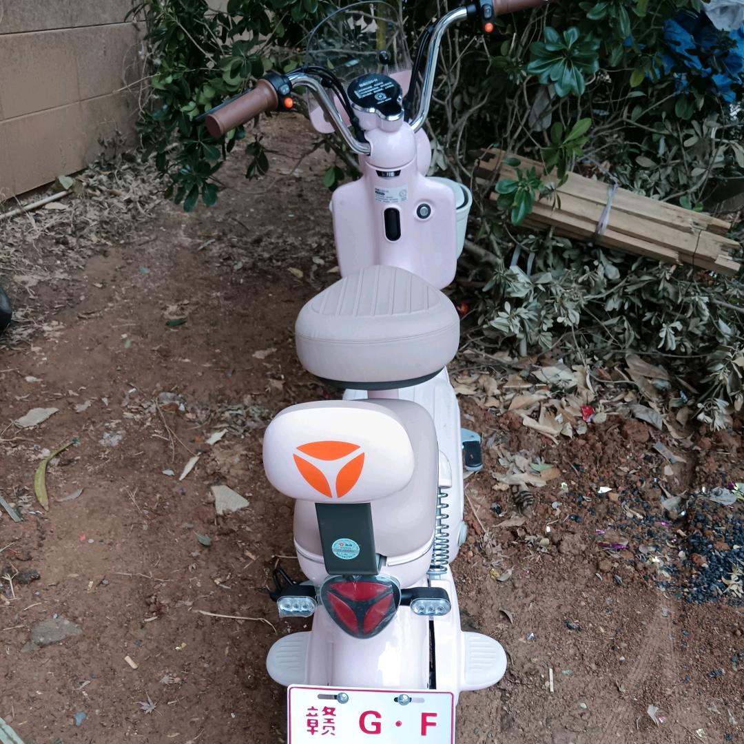 前后有大车我就变个道