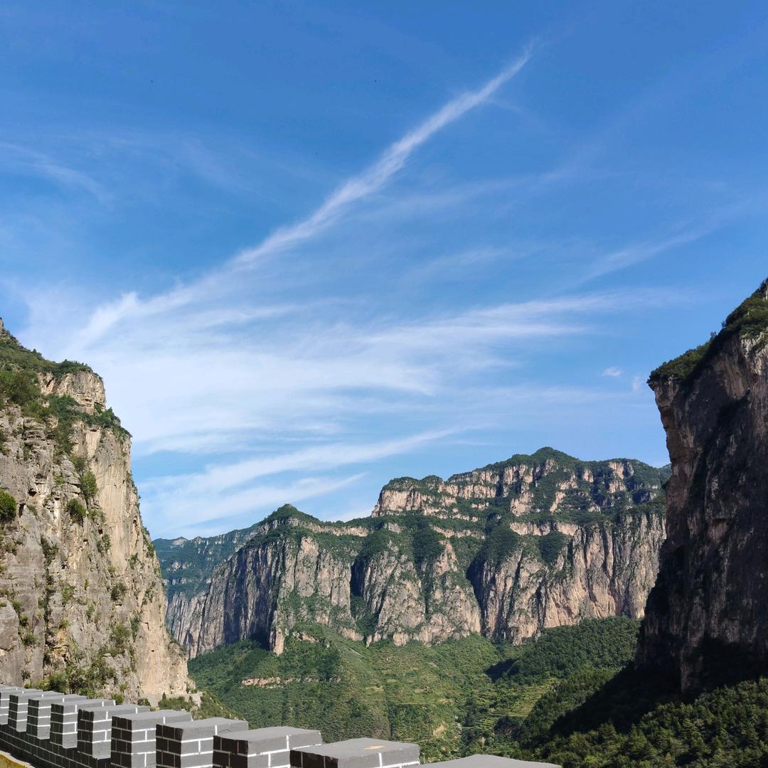 野草与栀子花（活着）