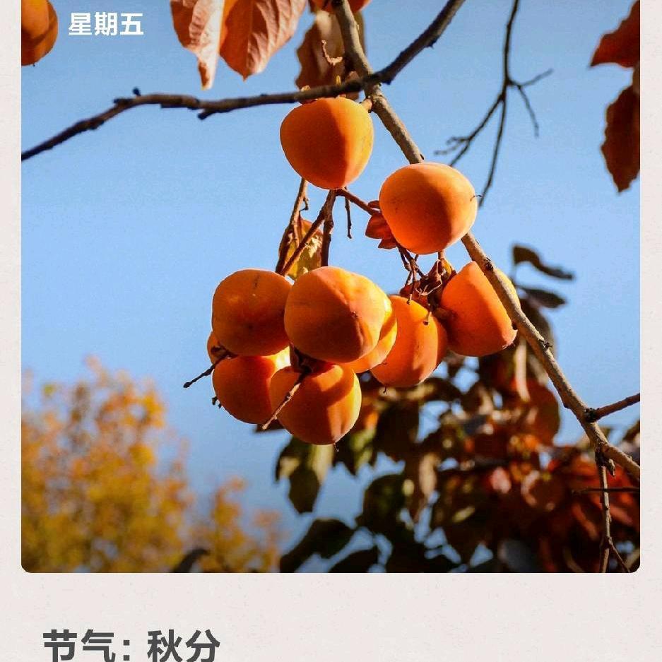 好时光