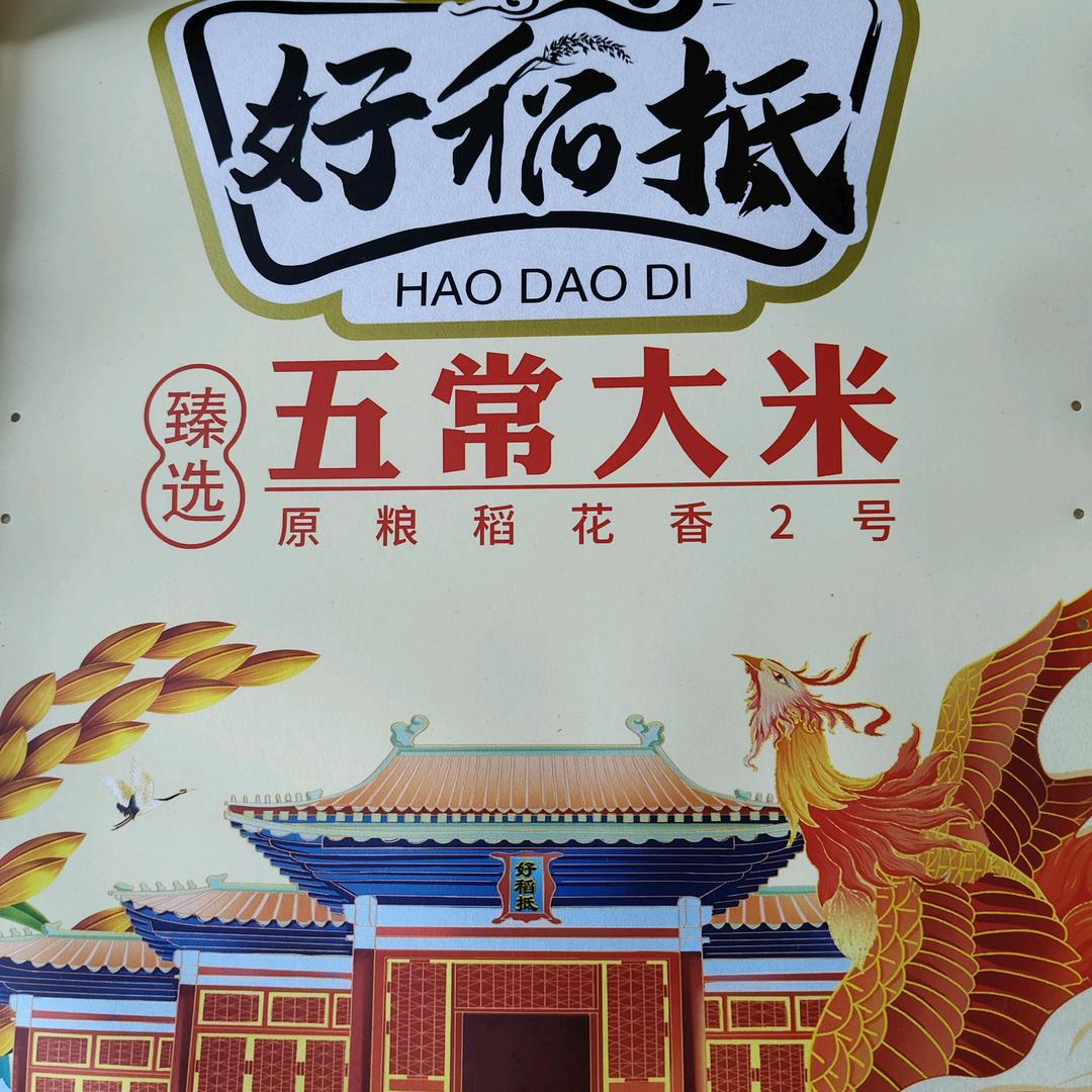 游客