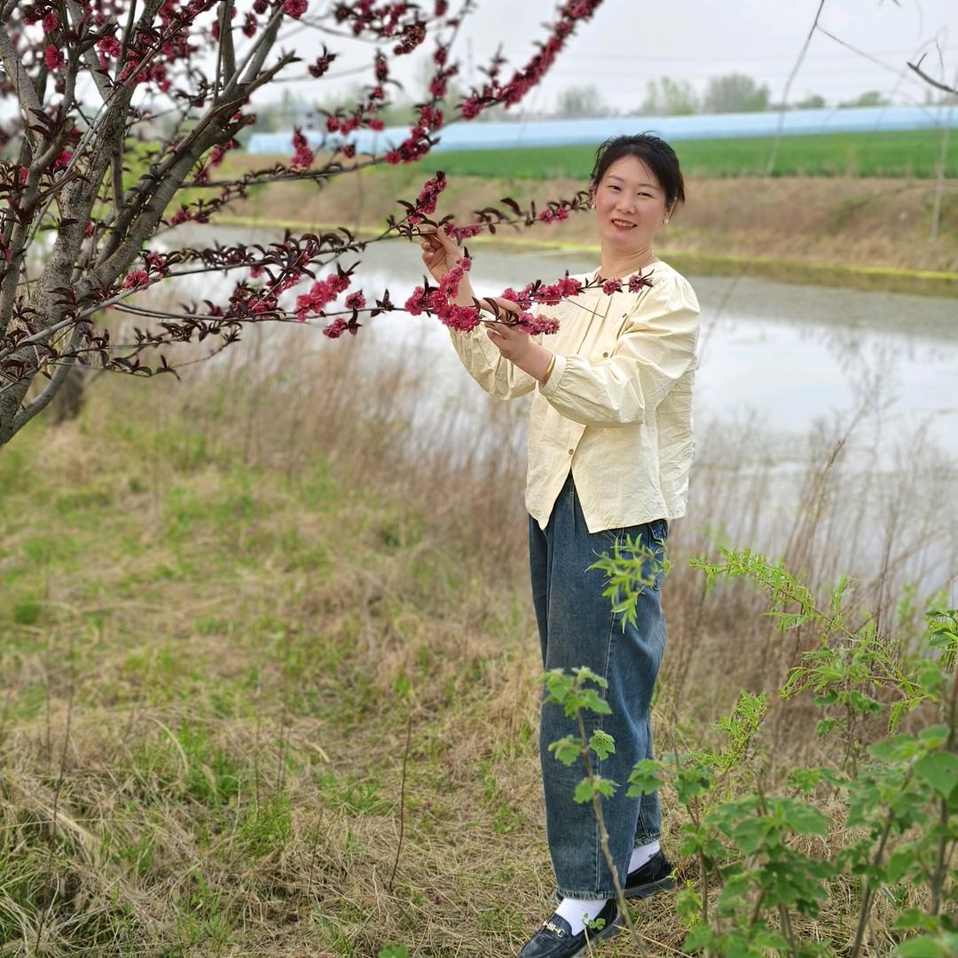 雪灵花