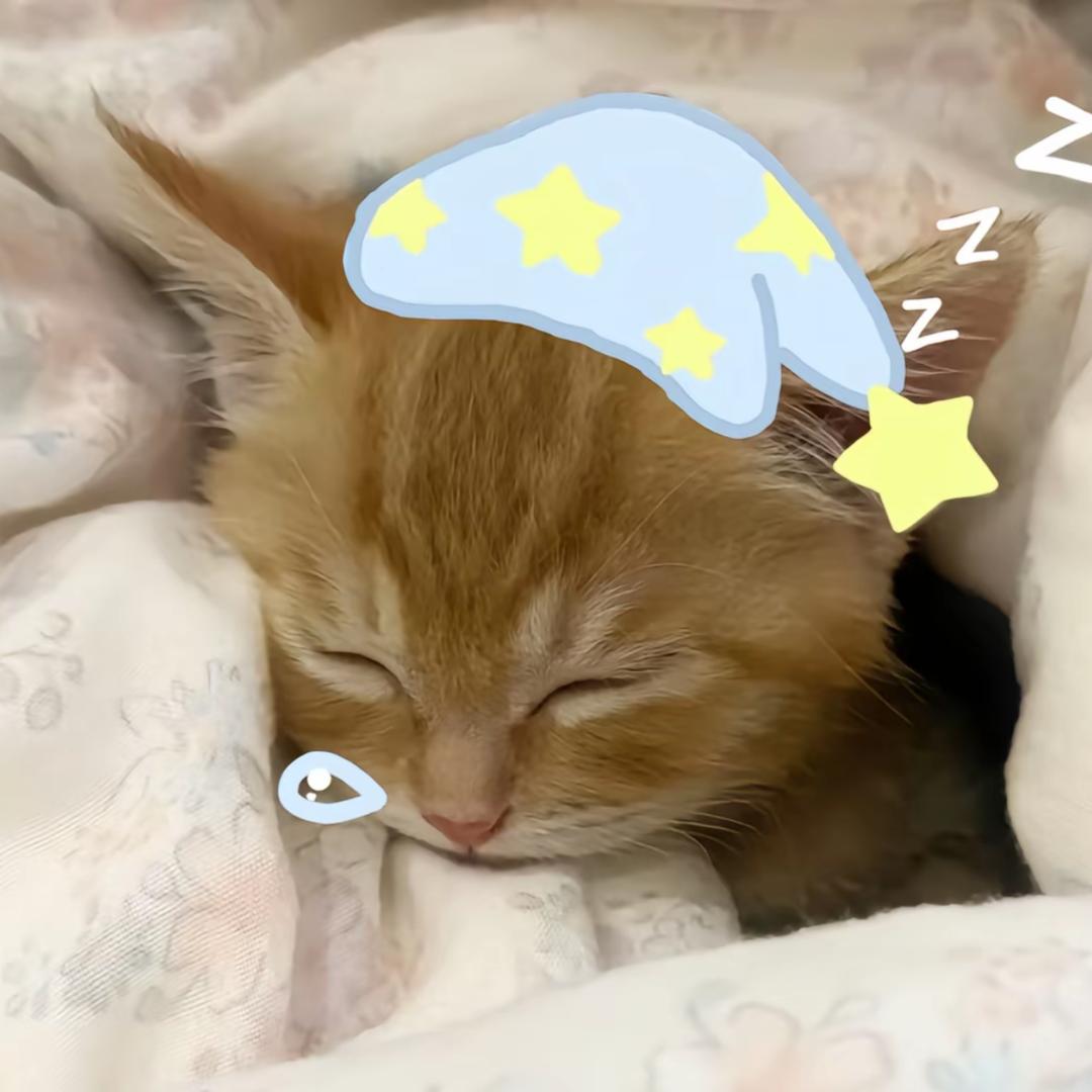 星期六