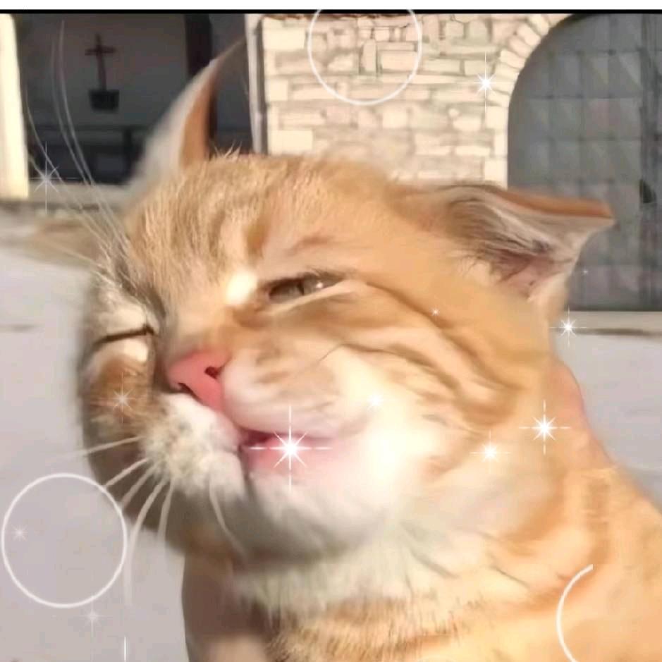 小L（三角洲行动）