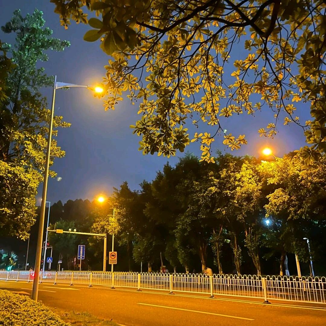 记录姥姥的日常生活