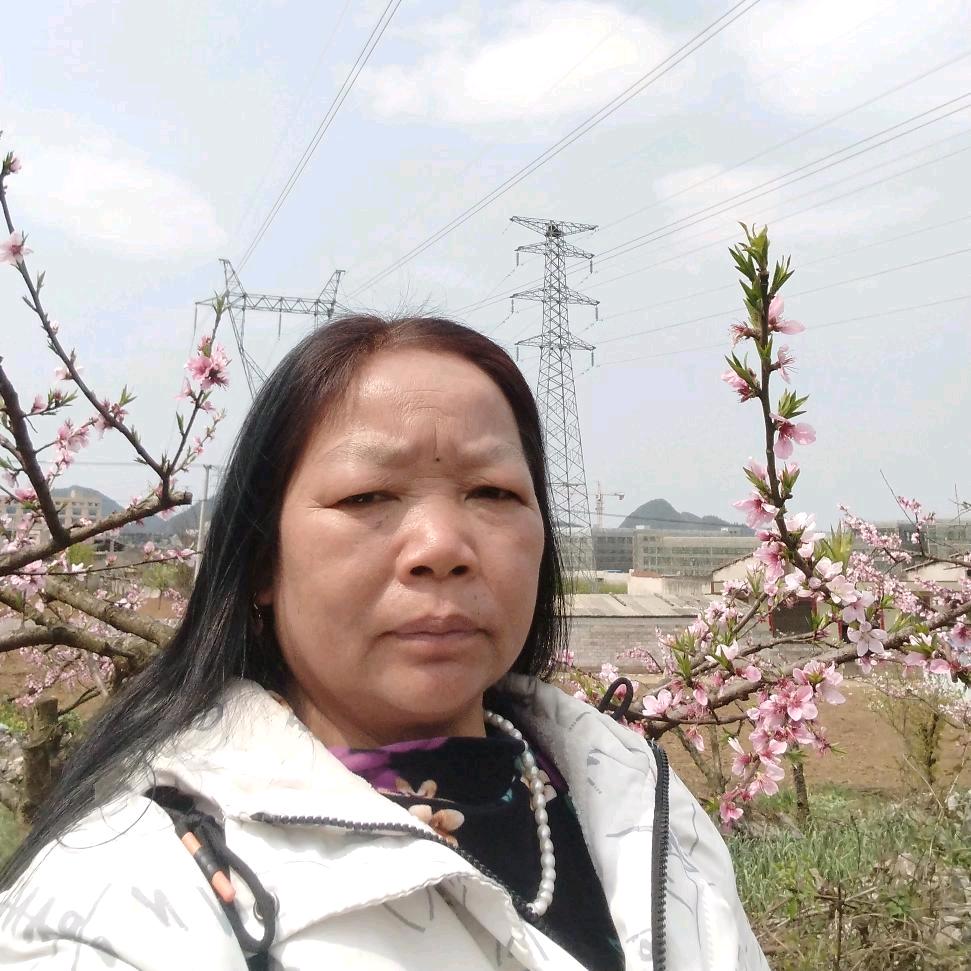 王小会