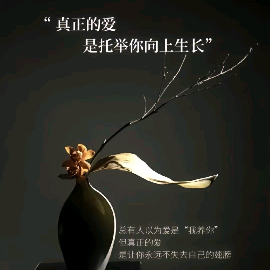 余生承蒙厚爱—安梦然