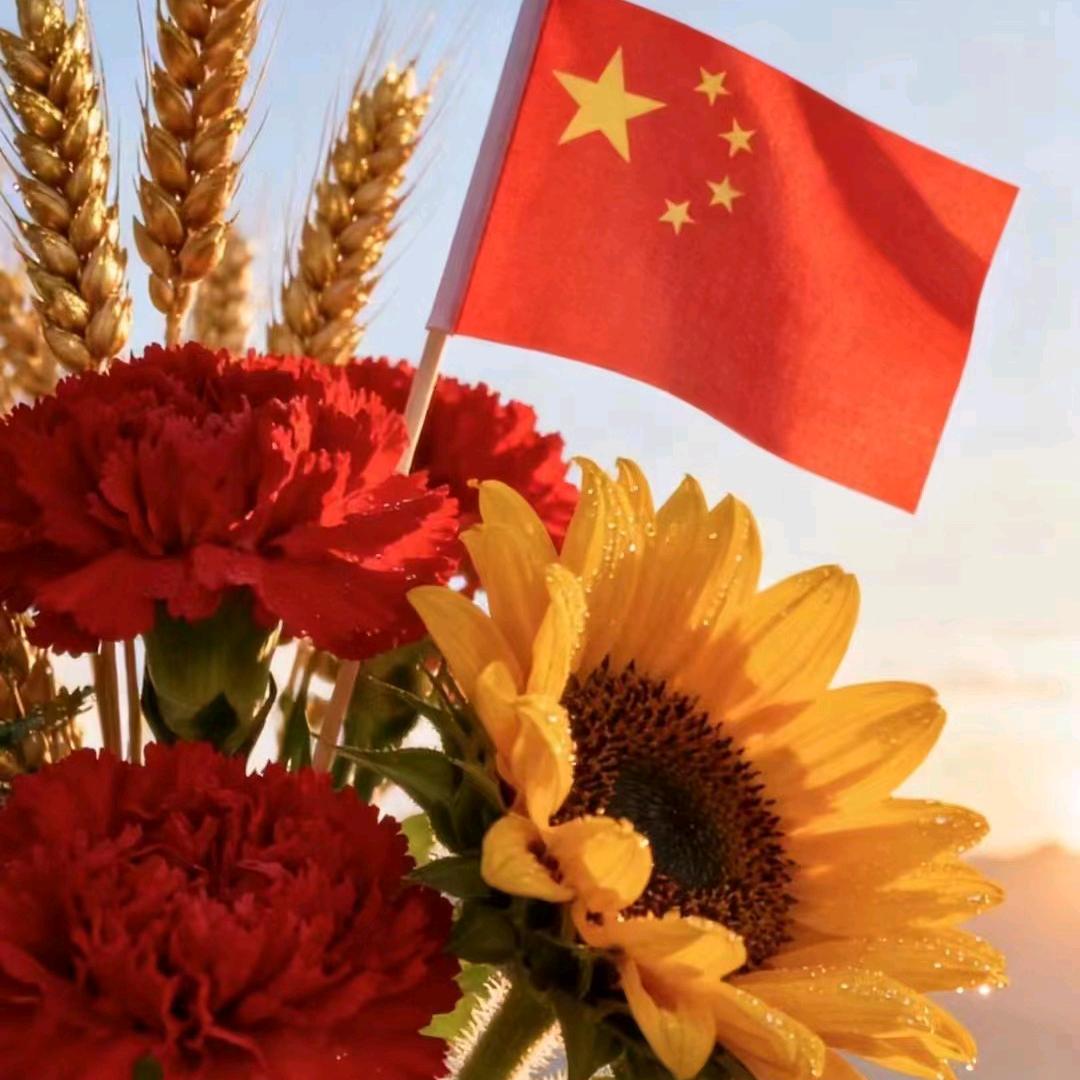 向阳而生的阳光