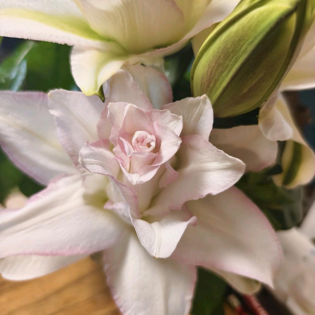 上善若水🌸