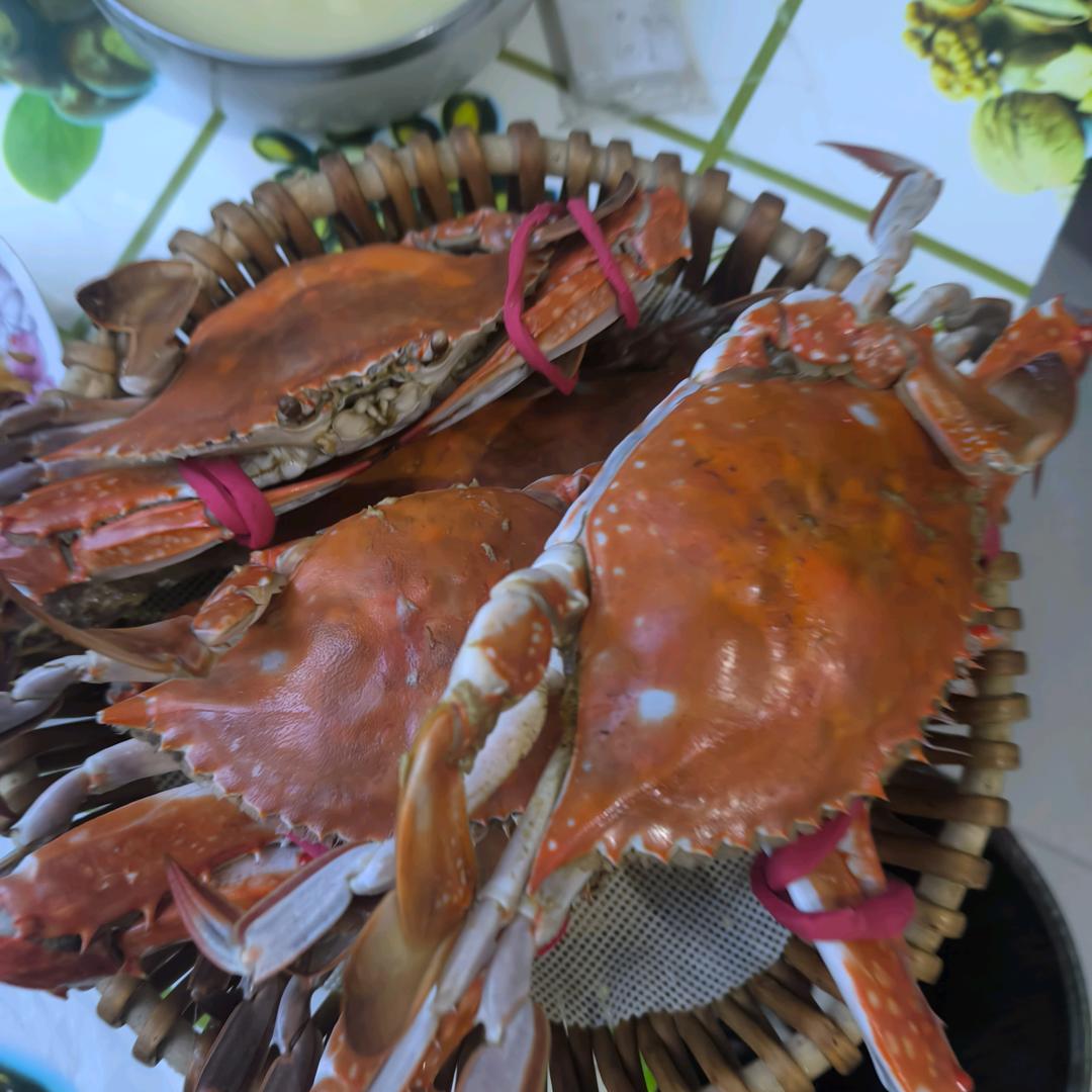 回忆的海