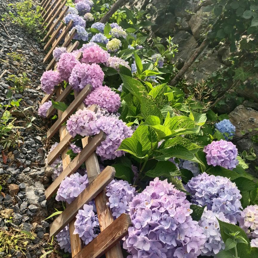 প꯭转身꧓꯭陌路꧔ꦿ᭄