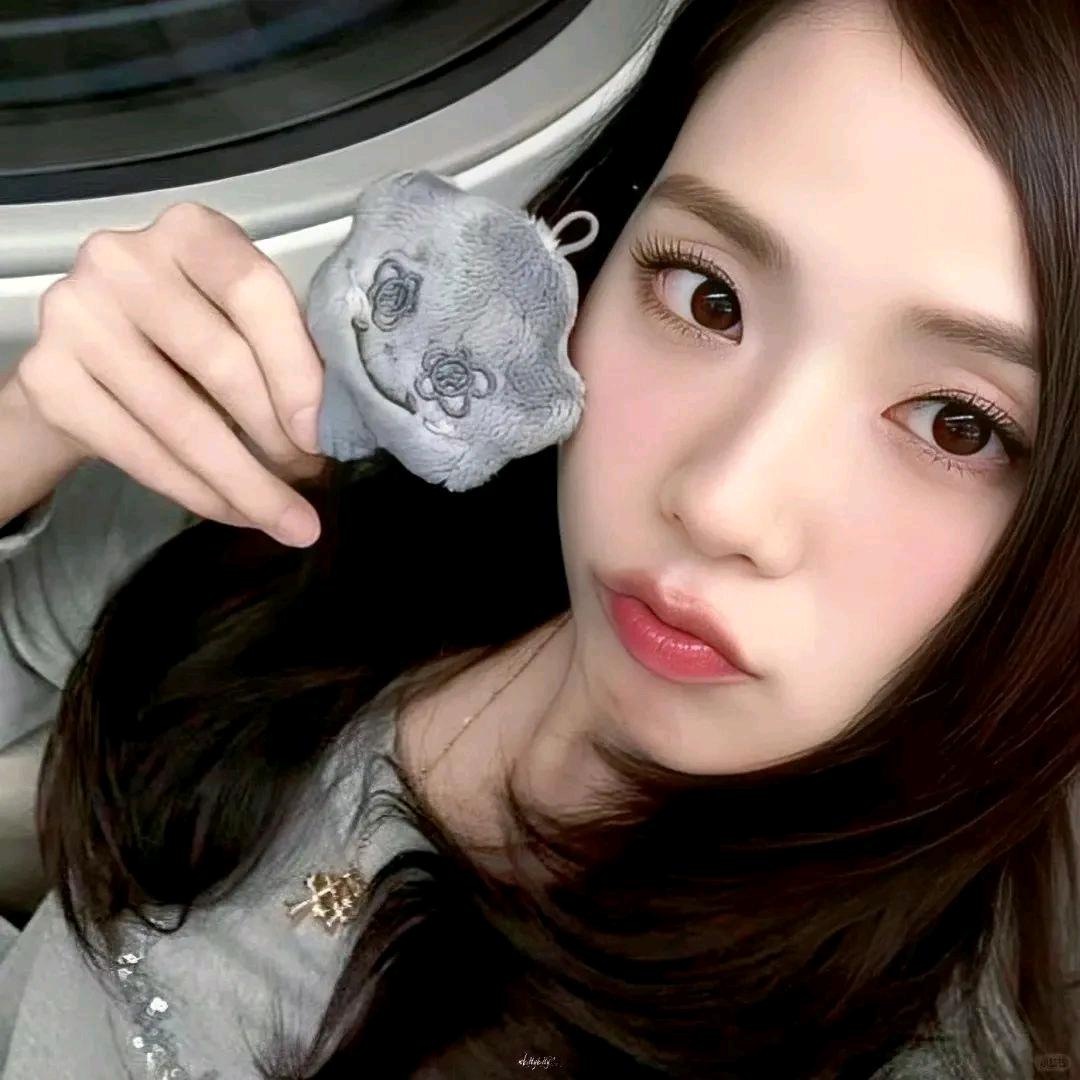 犯懒大王🛋️