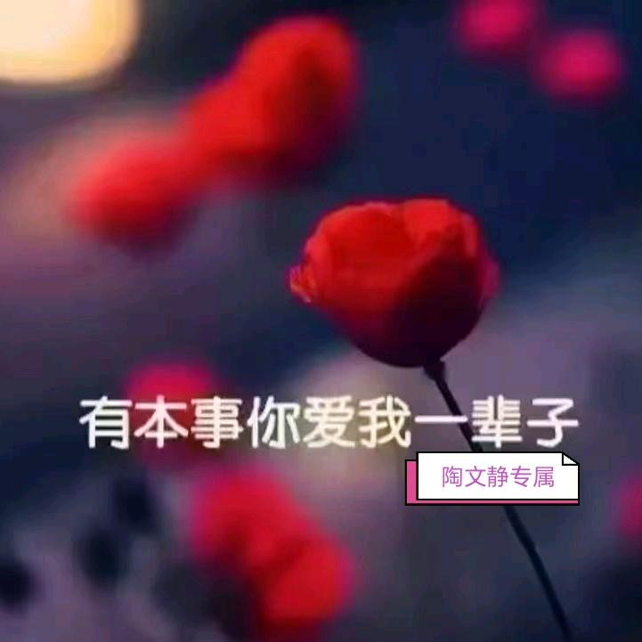 济南的陶文静