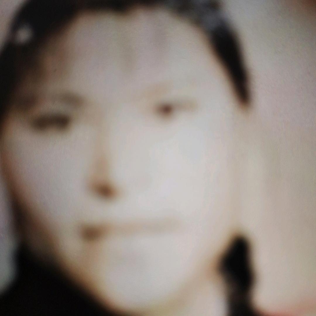 燕子高飞