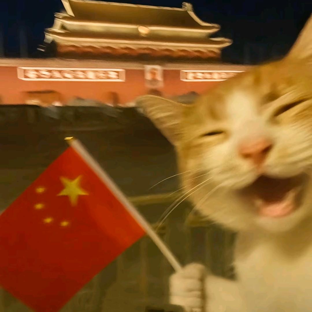 从零❣️开始⚕️