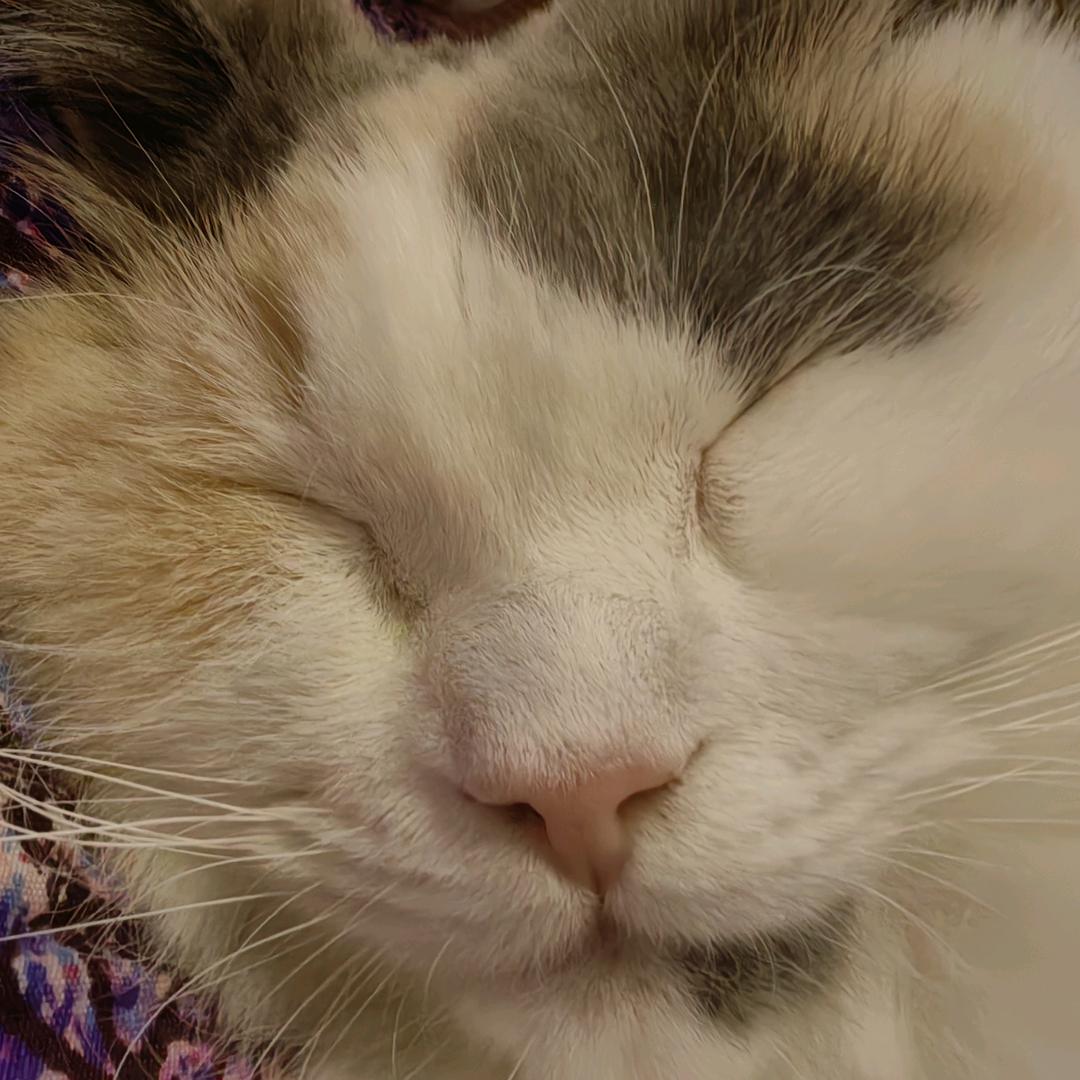 美甲店的小圆儿