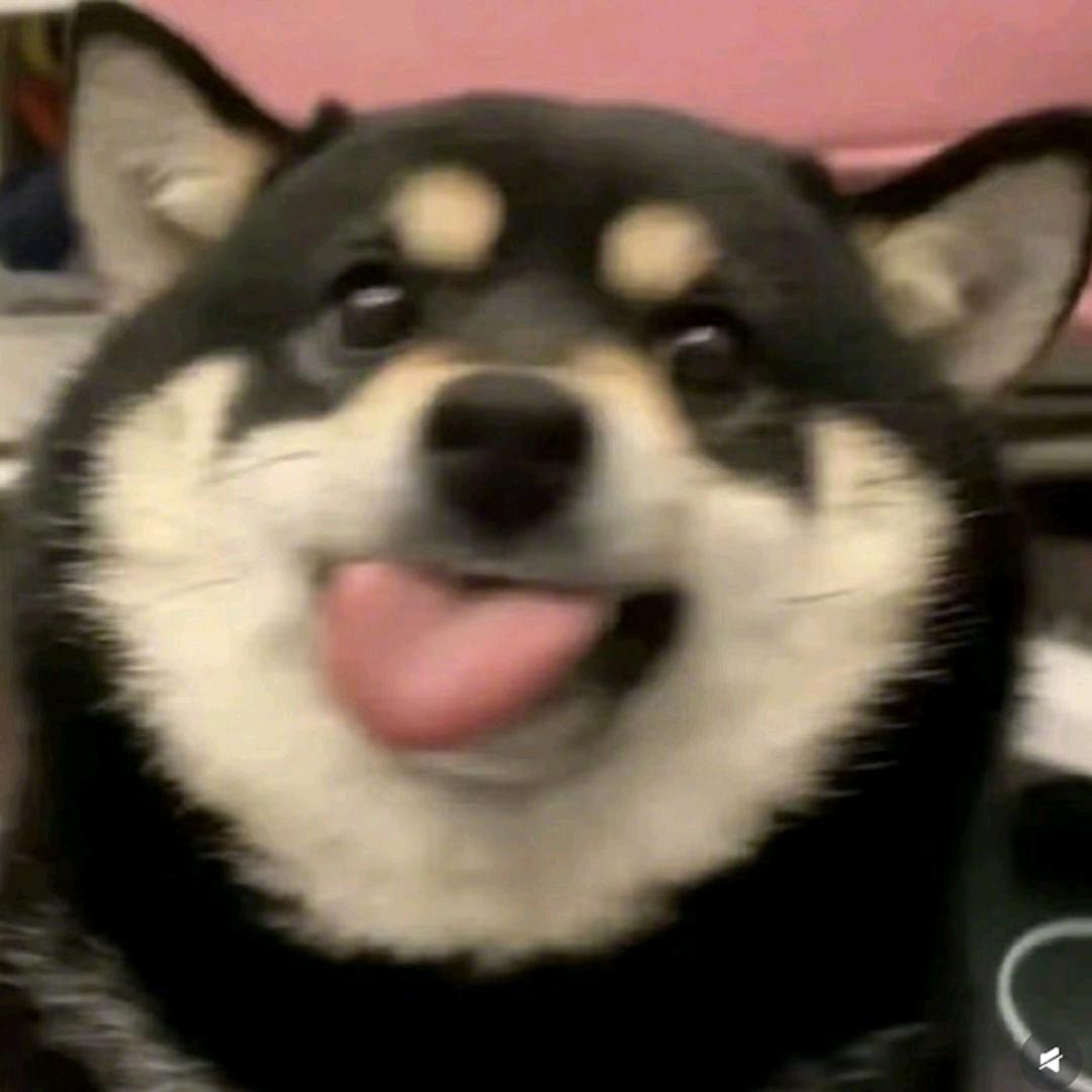 若初