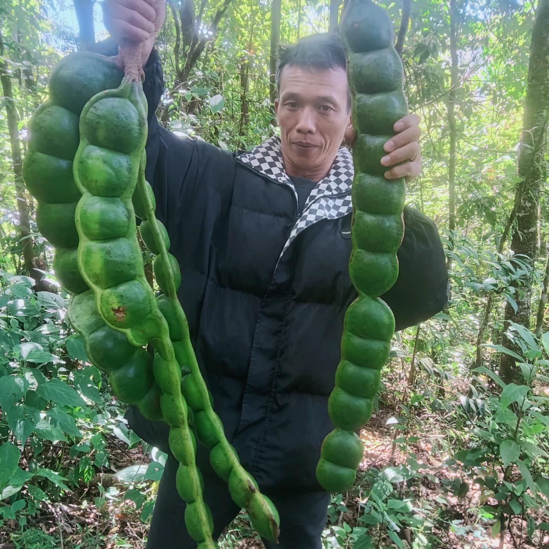 好远来，拒绝连赞