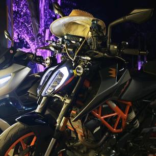 追逐星空的KT猫