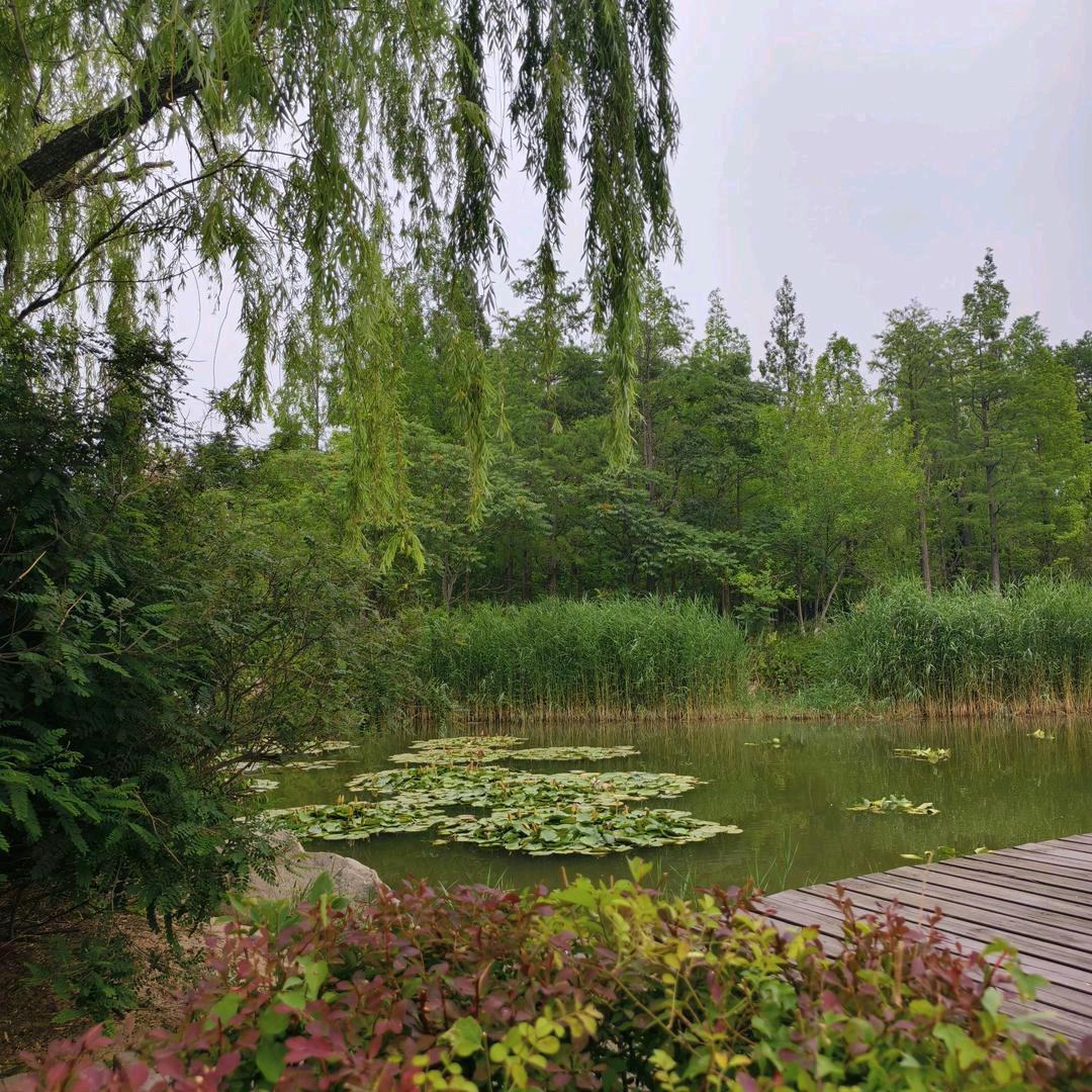 @可乐