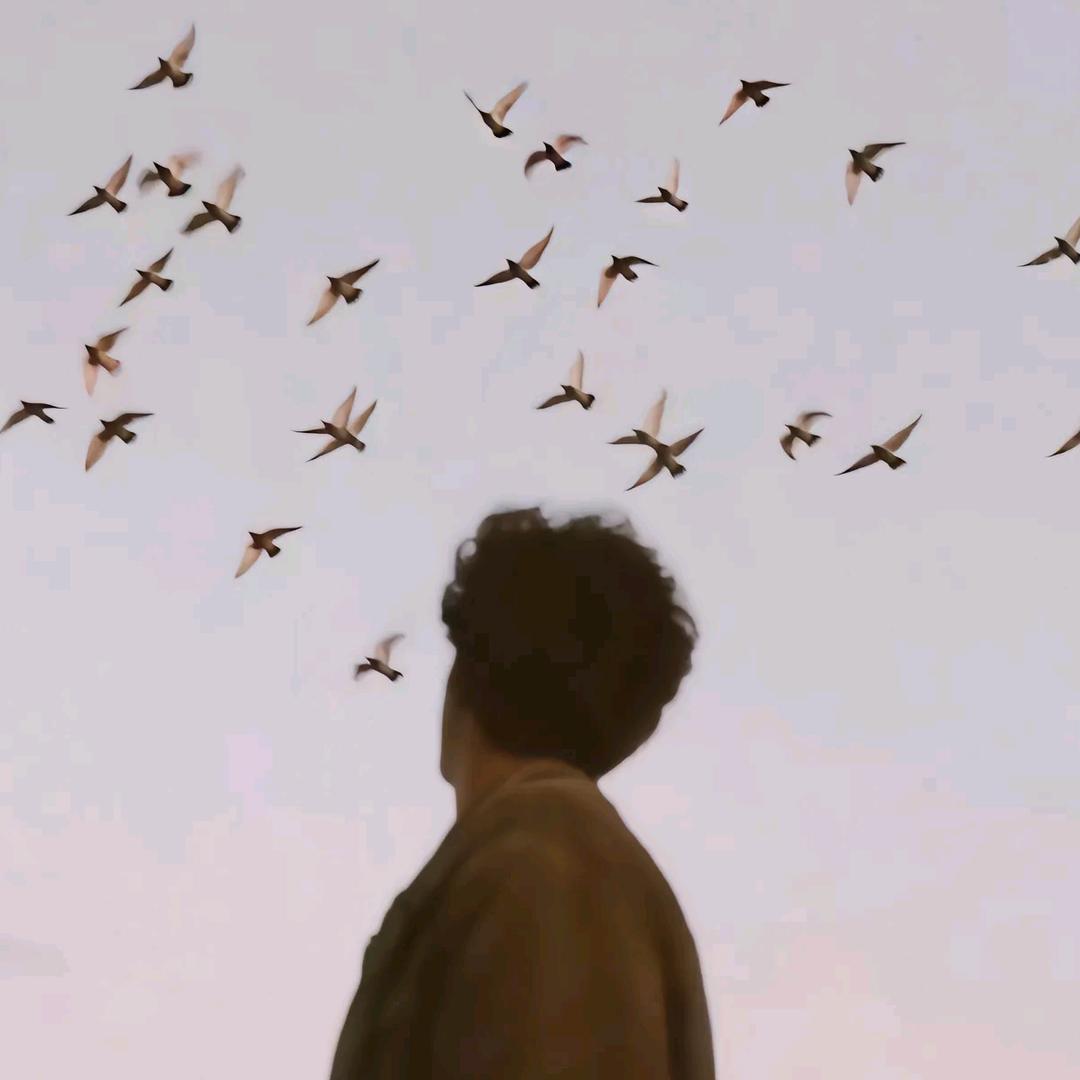 ￴￴￴ ￴￴ ￴