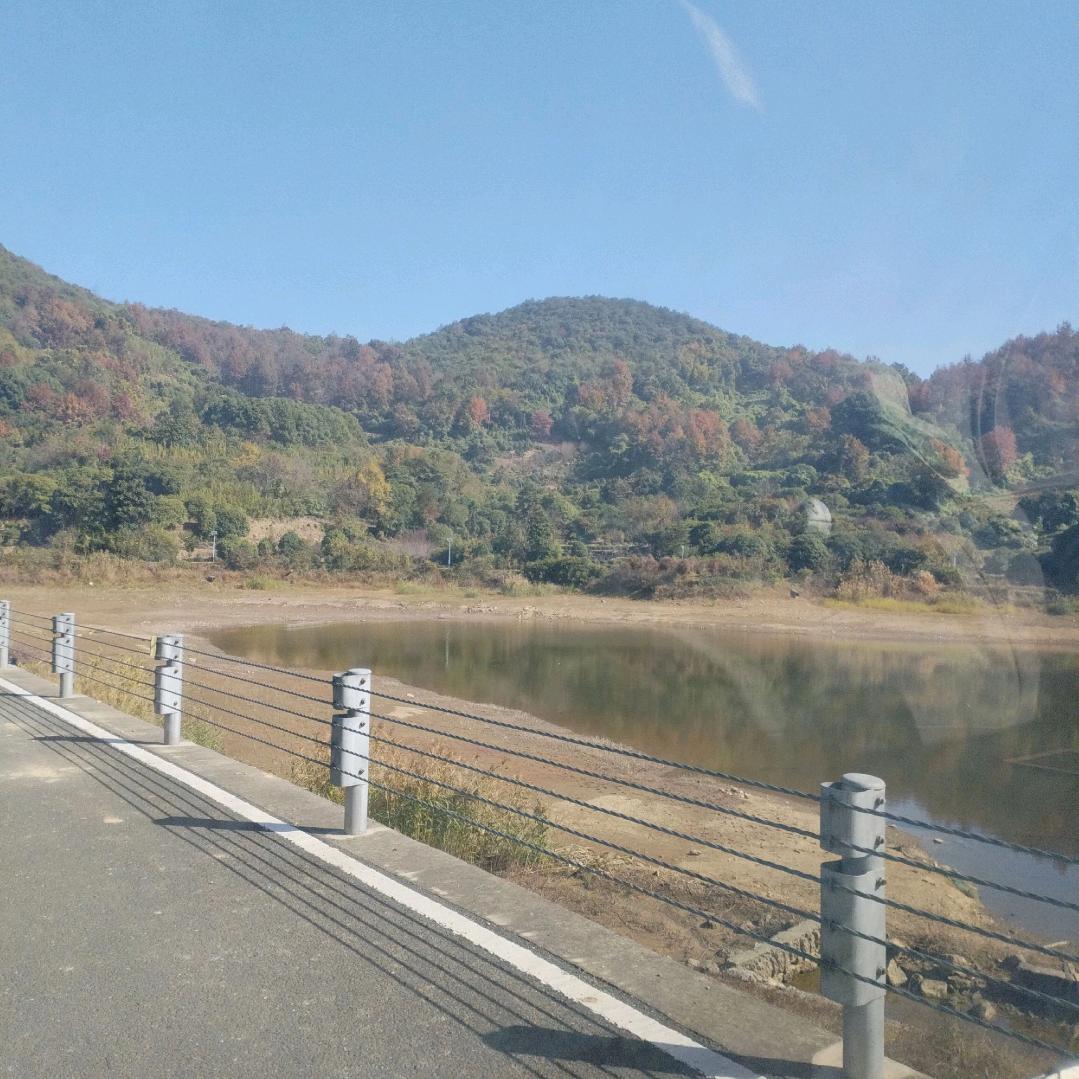 陌年情如纸