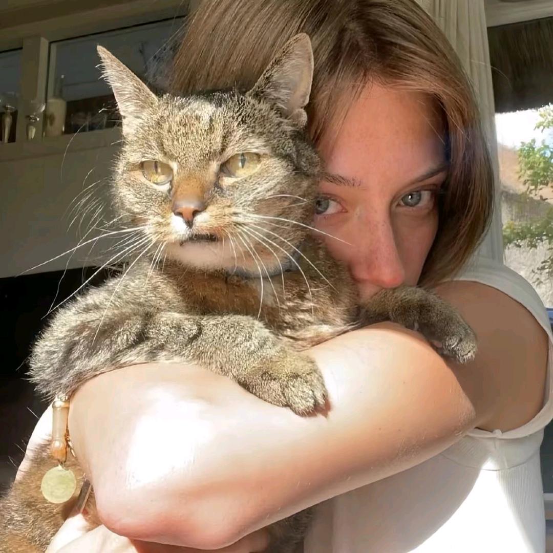 我不去上学犯法吗