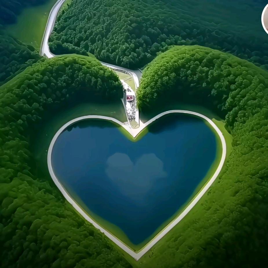 再见才是陌生人