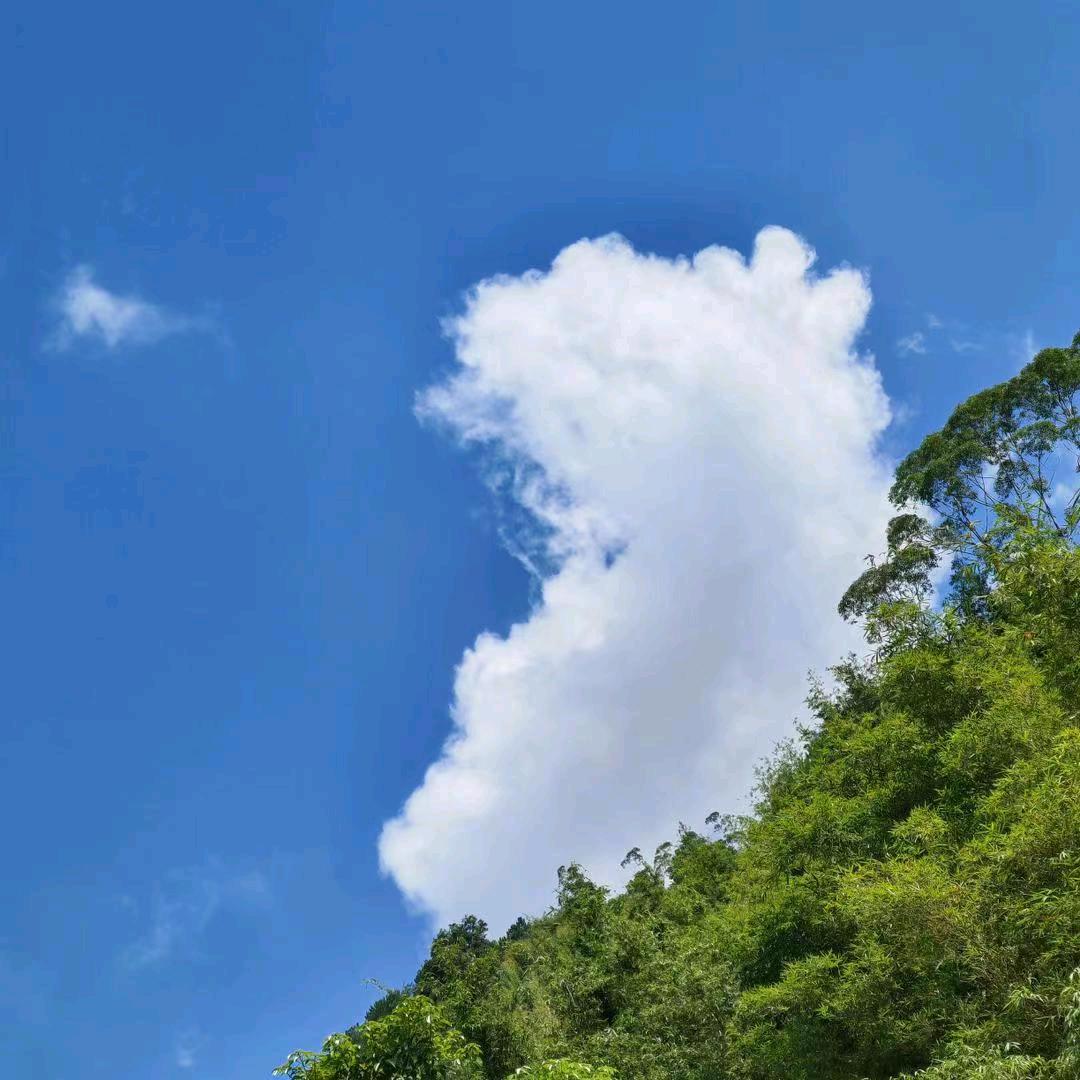 ડꪑⅈꪶꫀ ໌້ᮨ