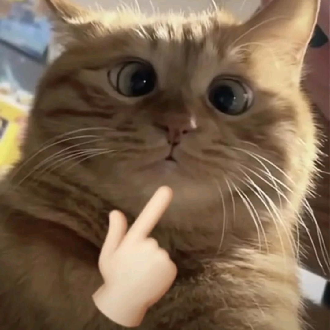 九沐🐮🐴（努力赚💰版）