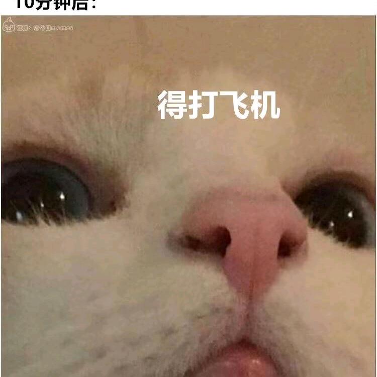 𝓹.矛盾