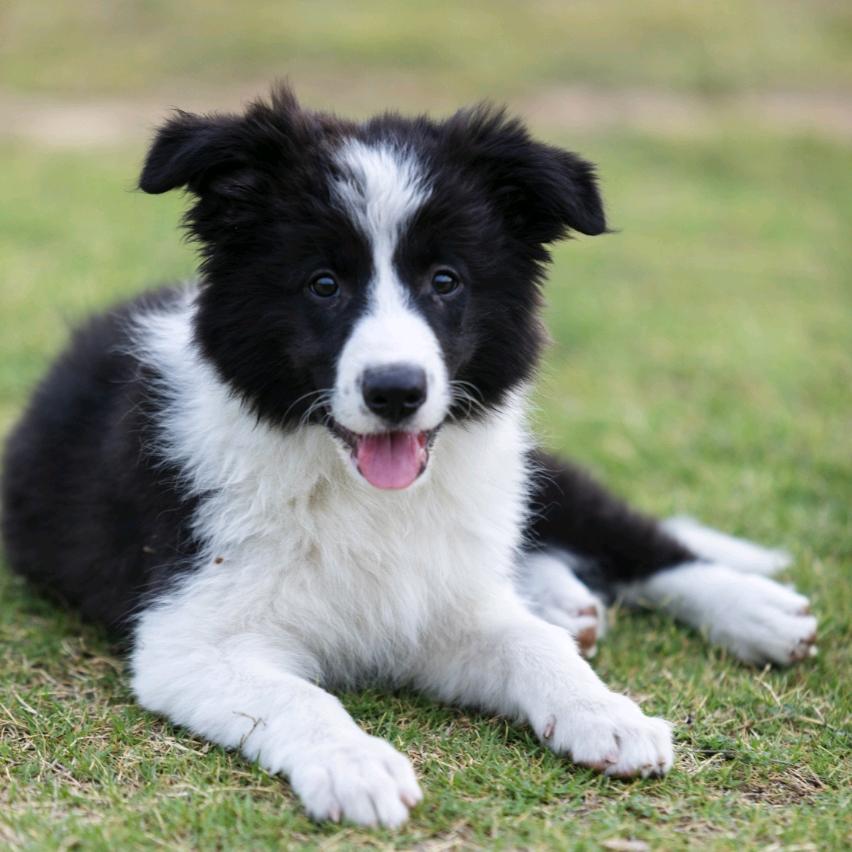 十五一点都不傻