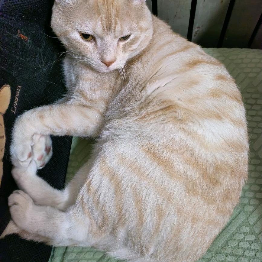 小心情