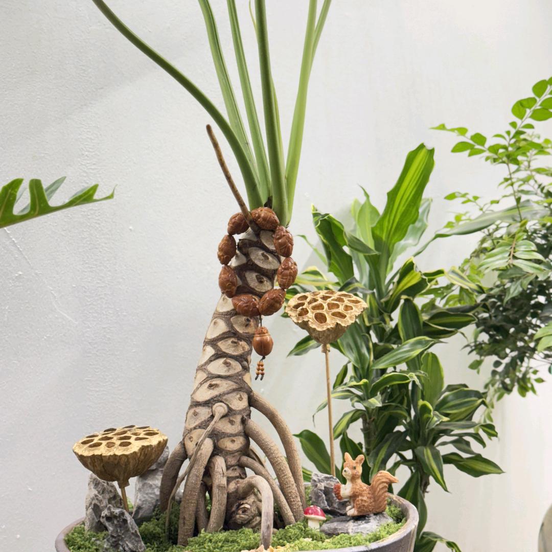 @星期八。
